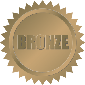 A bronze badge representing a master electrician.